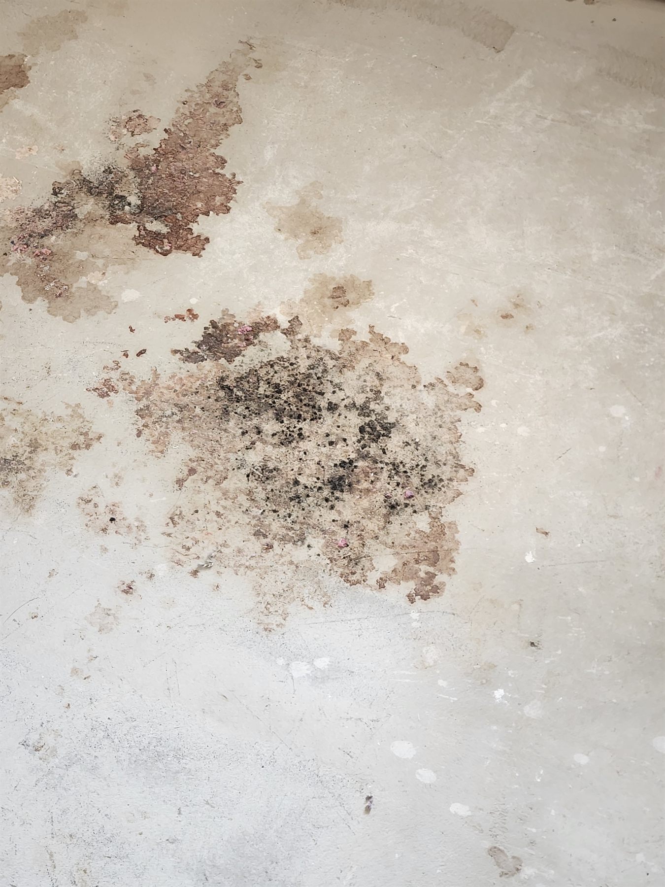 Close view of stained subfloor before treatment