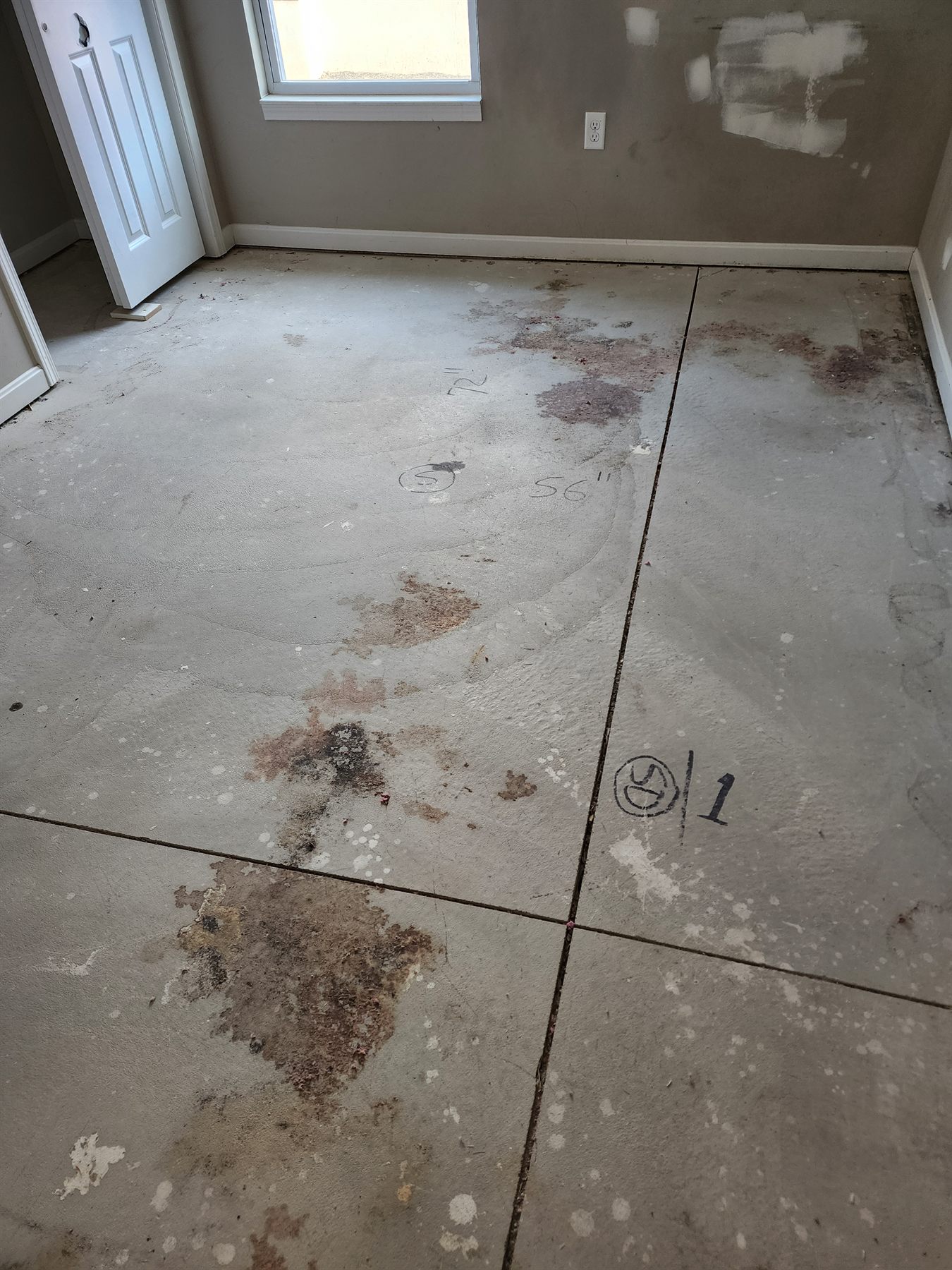 Subfloor being cleaned and treated